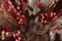 Kaboompics - Abstract Close Up Of Pink Dried Flax Seed Pods