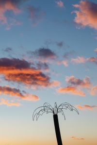Kaboompics - Wire Palm Tree Sculpture Against a Peach Clouded Sky