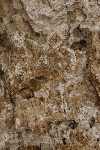 Kaboompics - Close-Up of Cream Limestone with Pitted Cavities