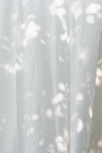 Kaboompics - Sheer White Curtain with Soft Leaf Shadows