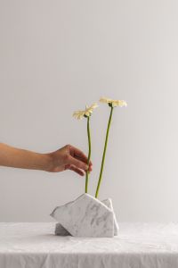 Kaboompics - Hand Arranging White Flowers in a Marble Holder