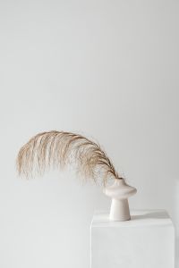 Kaboompics - Dried Grass Plumes in a Flared White Vase