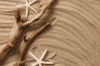 Kaboompics - Driftwood and Starfish on Rippled Sand