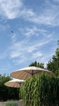 Kaboompics - Beige Garden Umbrellas Under A Blue Summer Sky