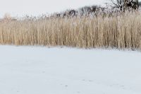 Kaboompics - In middle of frozen lake