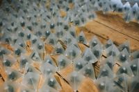 Kaboompics - Translucent Light Installation with Rustic Wooden Floor Texture