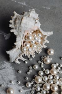 Kaboompics - Macro Photo of Loose Pearl Beads in an Open Seashell on Gray Concrete