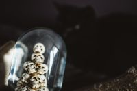 Kaboompics - Spooky Skull Globe Close-Up with Dark Textured Background