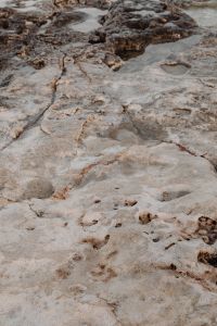 Kaboompics - Weathered Stone Pavement with Cracks and Shallow Pools