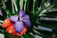 Kaboompics - Close-ups of flowers