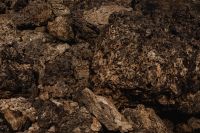 Kaboompics - Dark Porous Limestone Cliff Texture for Natural Backgrounds