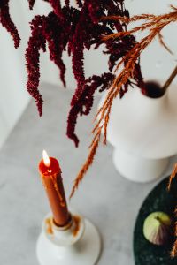 Kaboompics - Close-Up Red Candle With Dried Botanical Decor