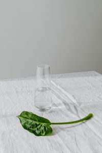 Kaboompics - Fallen Alocasia Leaf and Empty Glass Vase on White Linen