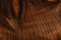 Kaboompics - Broad Brown Banana Leaf Surface with Vertical Veins