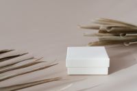 Kaboompics - White Box Mockup with Beige Copy Space Framed by Dried Palm Leaves