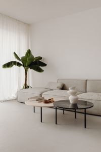 Kaboompics - Neutral Living Room with Greige Sofa, Banana Plant and Travertine Tables