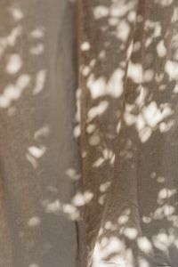 Kaboompics - Neutral Curtain Folds with Organic Shadow Pattern