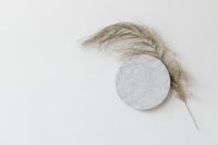 Kaboompics - Dried Pampas Stems and Marble Disc on White for Minimalist Editorial Backgrounds