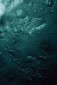 Kaboompics - Dark Teal Water Texture Abstract Background