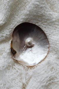 Kaboompics - Overhead Mother-of-Pearl Shell with a Single Pearl on White Fabric