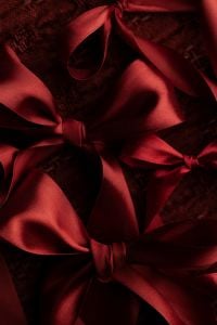Kaboompics - Close Up Burgundy Satin Ribbon Bows on Textured Background