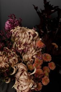 Kaboompics - Moody Autumn Chrysanthemum Bouquet Close Up