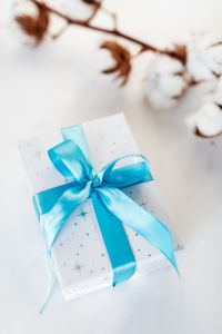 Kaboompics - Close-Up Blue-Bow Present and Cotton Branch on White Background