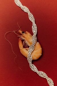 Kaboompics - Single Shrimp with Crystal Bracelet on Red