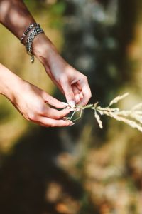 Kaboompics - Hands Gathering Wheat Stems with Silver Bracelets