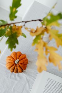 Kaboompics - Orange Mini Pumpkin and Oak Leaves Above an Open Book