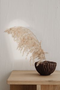 Kaboompics - Close-Up Pampas Arrangement in Brown Ceramic Vase on Wooden Side Table, Neutral Interior