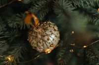 Kaboompics - Gold Christmas Bauble among Evergreen Tree Branches
