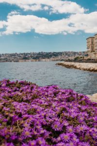Kaboompics - Naples, Italy