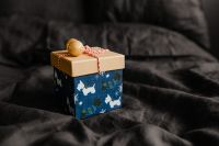 Kaboompics - Blue Dog-Patterned Gift Box with Gold Ornaments