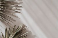 Kaboompics - Dried Palm Fronds Along Left Edge with Open Right-Side Copy Space