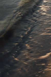 Kaboompics - Dark Sea Water Texture with Golden Light Reflection