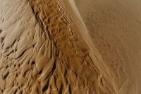 Kaboompics - The abstract line designed by water up on sand texture