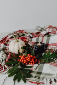 Kaboompics - Autumn Still Life With Pumpkins and Rowan Berries