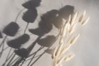 Kaboompics - Shadows on marble