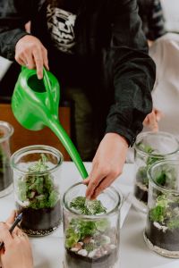 Kaboompics - Close-Up of a Green Watering Can Moistening Moss Inside a Glass Terrarium