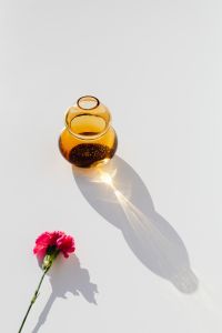 Kaboompics - Pink Carnation in a Rounded Amber Vase for Minimal Floral Backgrounds