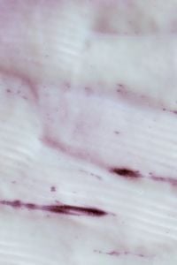 Kaboompics - White Cream with Plum-Pink Veining on a Pale Skincare Macro Background