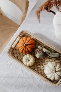 Kaboompics - Orange and White Pumpkins in a Wicker Tray with Dried Grass