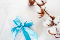 Kaboompics - Blue-Ribbon Christmas Gift with Cotton Branch and Bright Copy Space