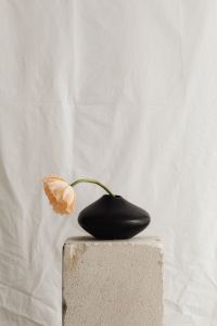 Kaboompics - Soft Flower Styling with Neutral Fabric Texture