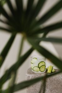 Kaboompics - Iced Cucumber Water on a Stone Pedestal, Vertical Summer Drink Photo Framed by Blurred Dark Green Leaves