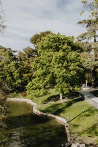 Kaboompics - The Buen Retiro Park in Madrid, Spain