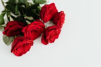 Kaboompics - Red Roses and Green Leaves Arranged on White