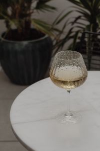 Kaboompics - Rainy Day Wine on Patio Beside Potted Palm