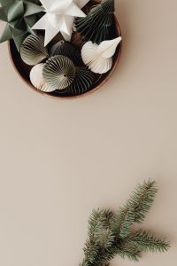 Kaboompics - Beige Holiday Flat Lay with Paper Ornaments, Fir Branch and Neutral Styling